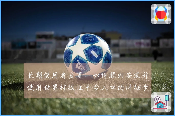 长期使用者分享：如何顺利安装并使用世界杯投注平台入口的详细步骤指南