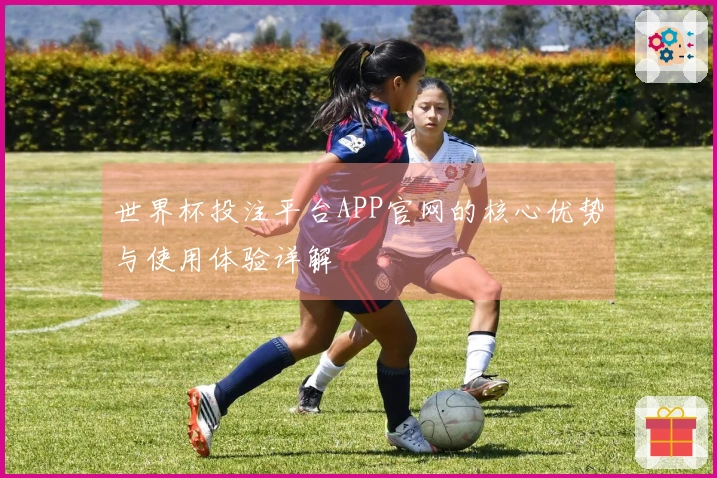 世界杯投注平台APP官网的核心优势与使用体验详解