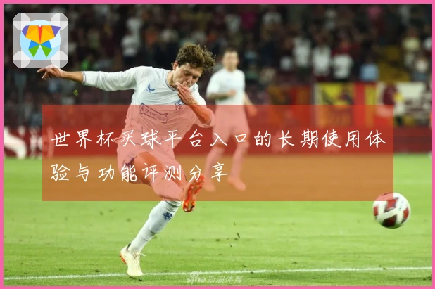 世界杯买球平台入口的长期使用体验与功能评测分享