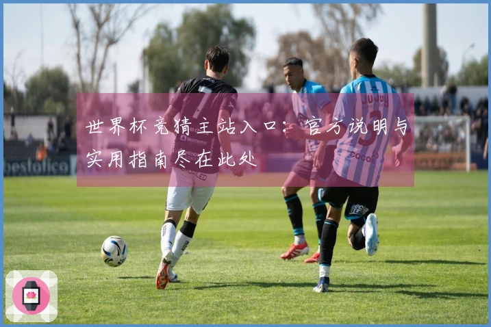 世界杯竞猜主站入口：官方说明与实用指南尽在此处