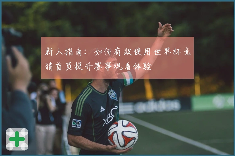 新人指南：如何有效使用世界杯竞猜首页提升赛事观看体验