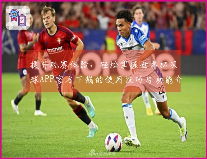 提升观赛体验，轻松掌握世界杯买球APP官方下载的使用技巧与功能介绍