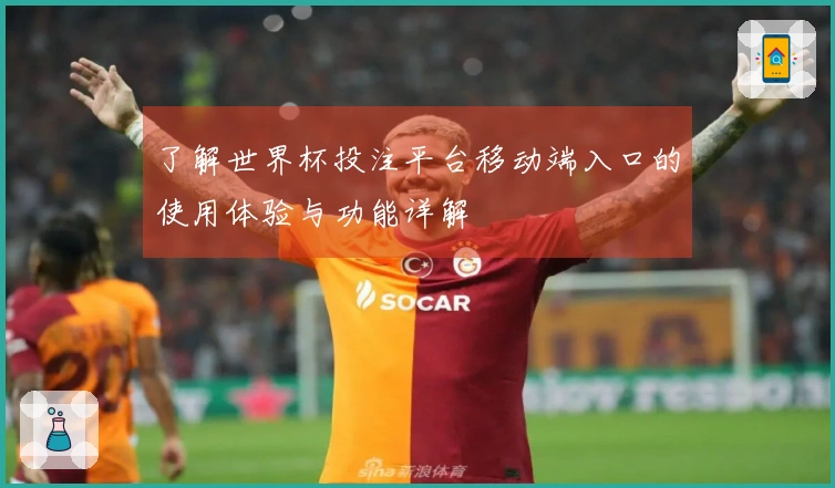 了解世界杯投注平台移动端入口的使用体验与功能详解