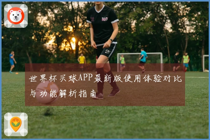 世界杯买球APP最新版使用体验对比与功能解析指南