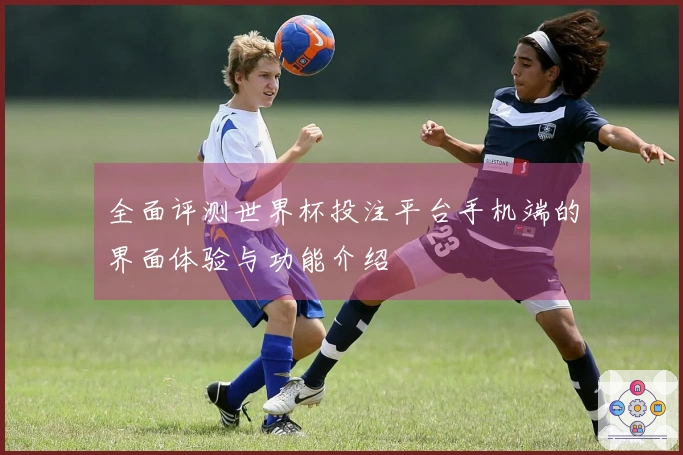 全面评测世界杯投注平台手机端的界面体验与功能介绍