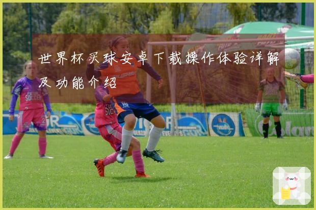 世界杯买球安卓下载操作体验详解及功能介绍