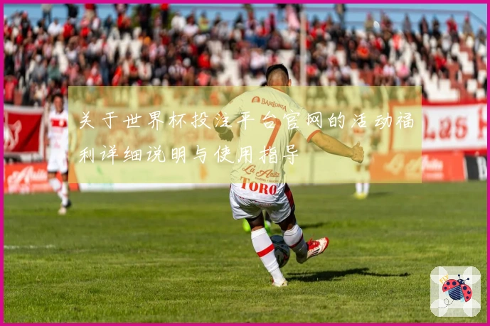 关于世界杯投注平台官网的活动福利详细说明与使用指导