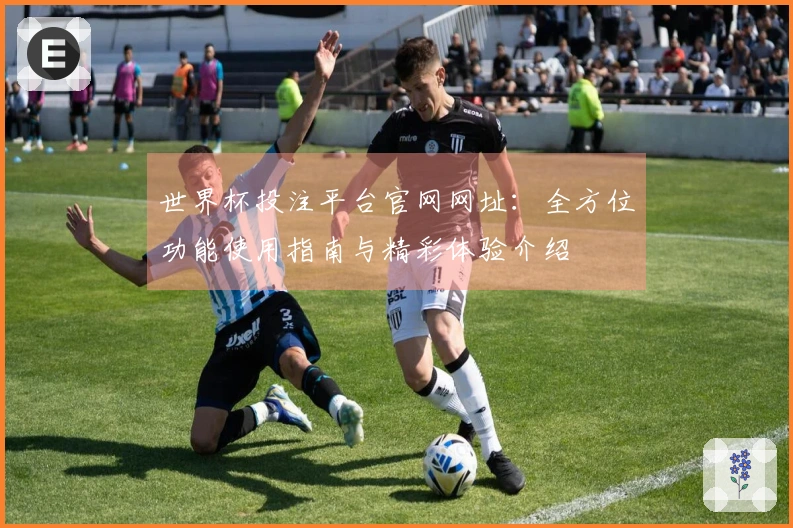 世界杯投注平台官网网址：全方位功能使用指南与精彩体验介绍
