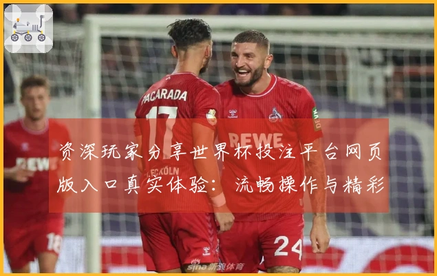 资深玩家分享世界杯投注平台网页版入口真实体验：流畅操作与精彩赛事全掌握