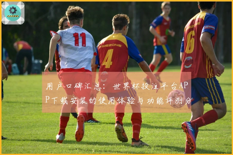 用户口碑汇总：世界杯投注平台APP下载安装的使用体验与功能评测分析