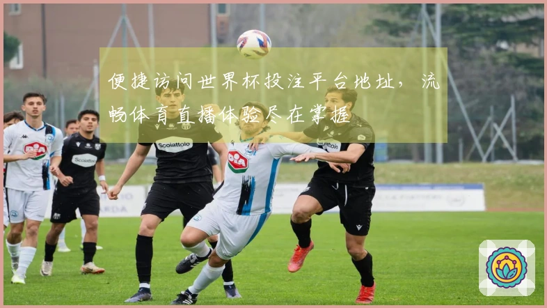 便捷访问世界杯投注平台地址,流畅体育直播体验尽在掌握